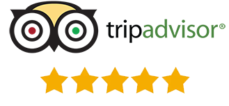 Trip Advisor Logo